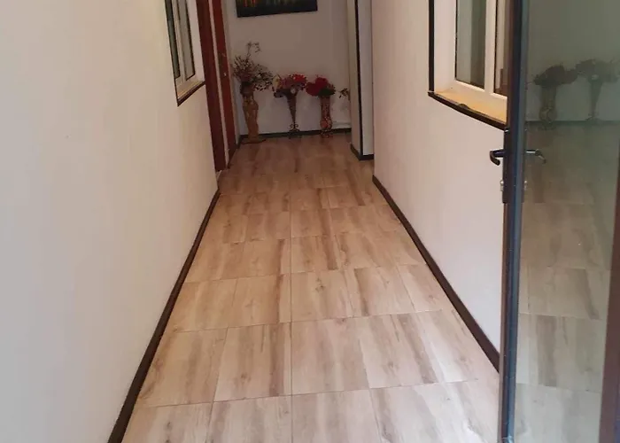 Guest house Casa Sofia Eforie Nord